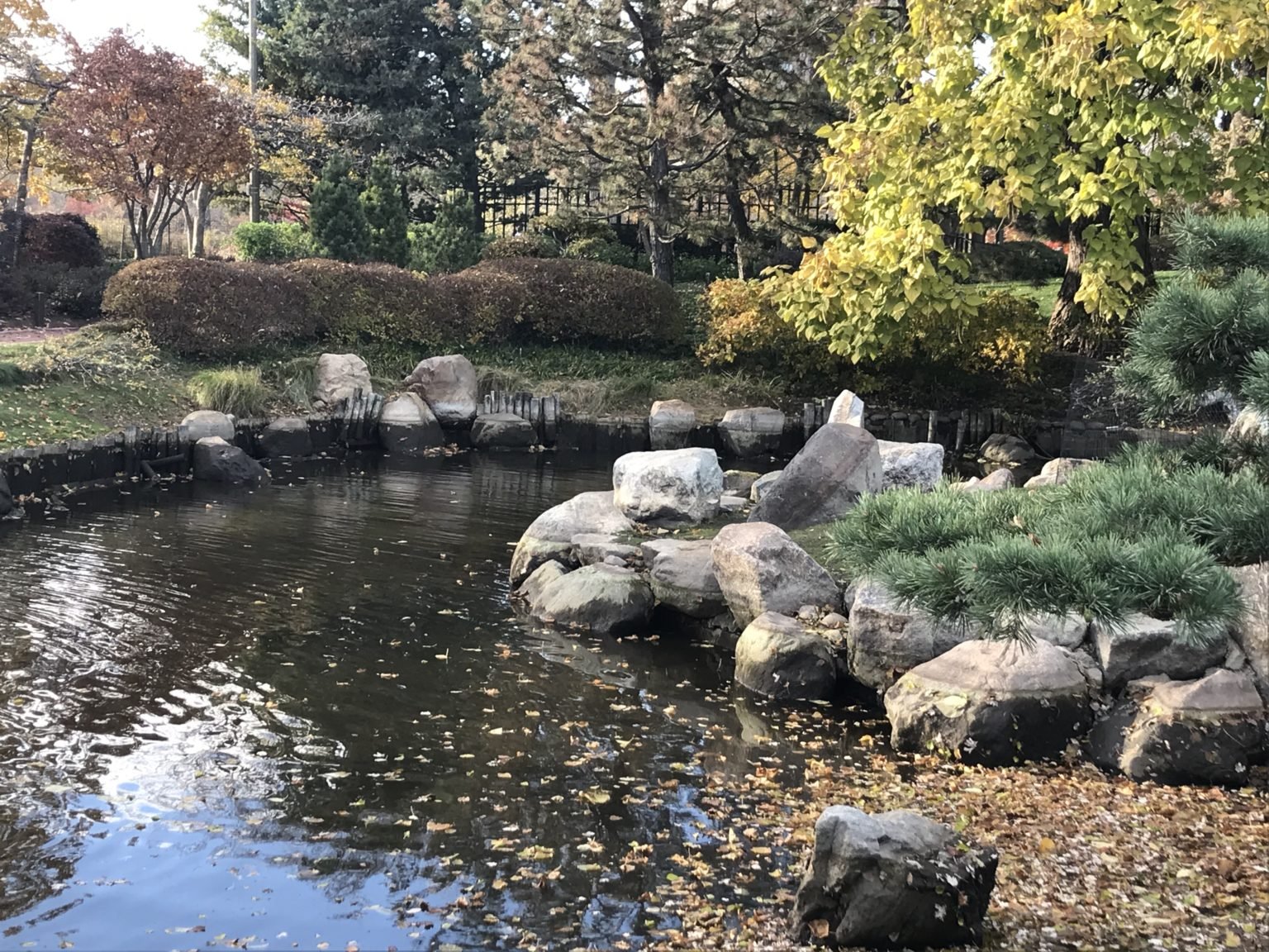 Japanese Garden, Jackson Park